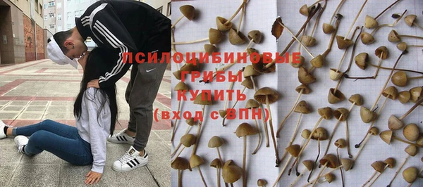MESCALINE Михайлов